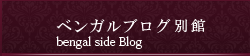 ベンガルサイドブログ ベンガルサイドブログ