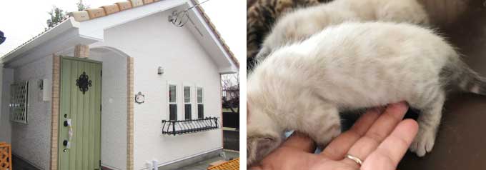 ブリーダーのメリット